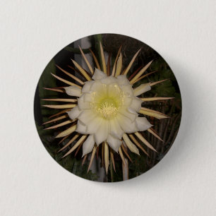 Chapa Redonda De 5 Cm "Reina De La Noche" Cactus Flower