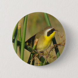 Chapa Redonda De 5 Cm Reinita Común