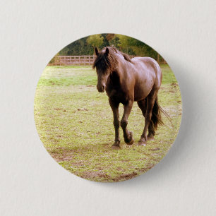 Chapa Redonda De 5 Cm Relajado paseo de caballos marrones