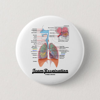 Chapa Redonda De 5 Cm Respiración del equipo (sistema respiratorio)