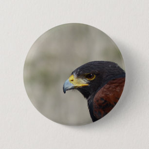 Chapa Redonda De 5 Cm retrato de halcón de Harris