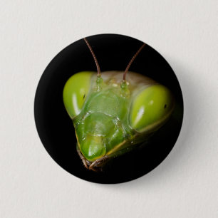 Chapa Redonda De 5 Cm Retrato de mantis rezadora