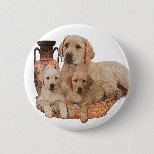 Chapa Redonda De 5 Cm Retriever de Labrador