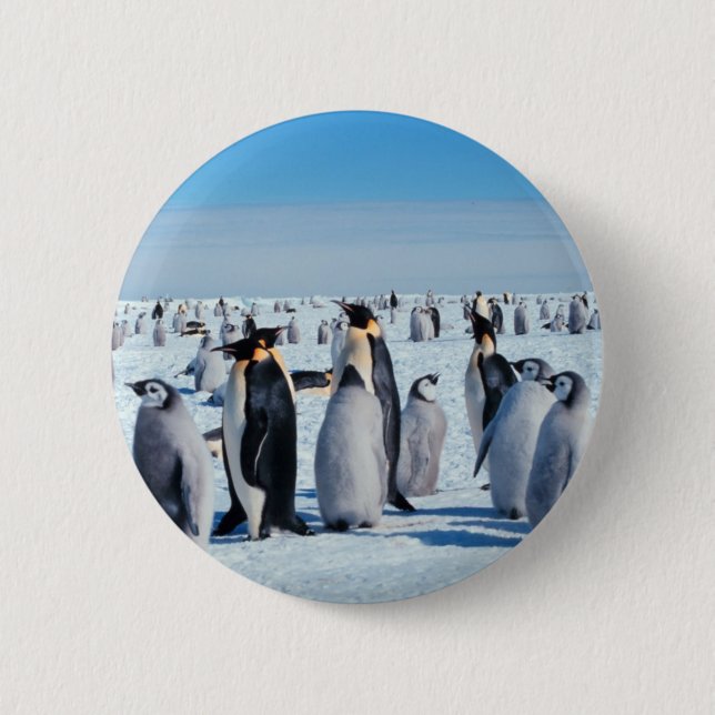Chapa Redonda De 5 Cm Reunión del pingüino (Anverso)