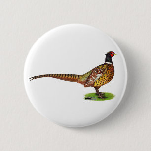 Chapa Redonda De 5 Cm Ringneck Pheasant Rooster
