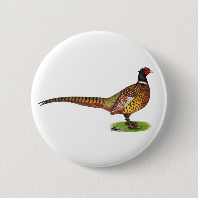 Chapa Redonda De 5 Cm Ringneck Pheasant Rooster (Anverso)