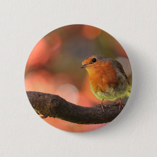 Chapa Redonda De 5 Cm Robin en una rama