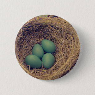 Chapa Redonda De 5 Cm Robin Nest y Eggs