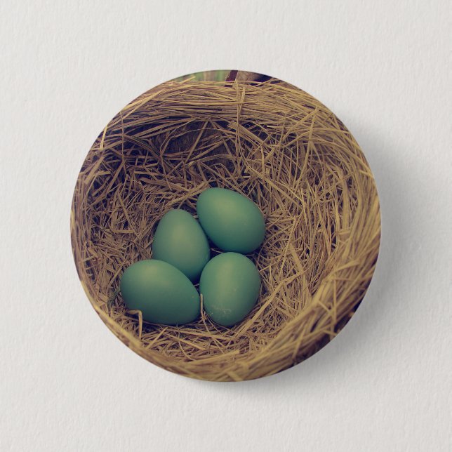 Chapa Redonda De 5 Cm Robin Nest y Eggs (Anverso)