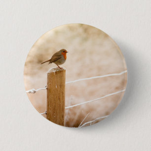 Chapa Redonda De 5 Cm Robin Redmama