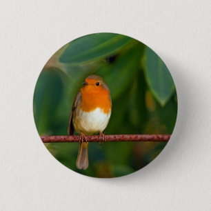 Chapa Redonda De 5 Cm ROBIN rojo
