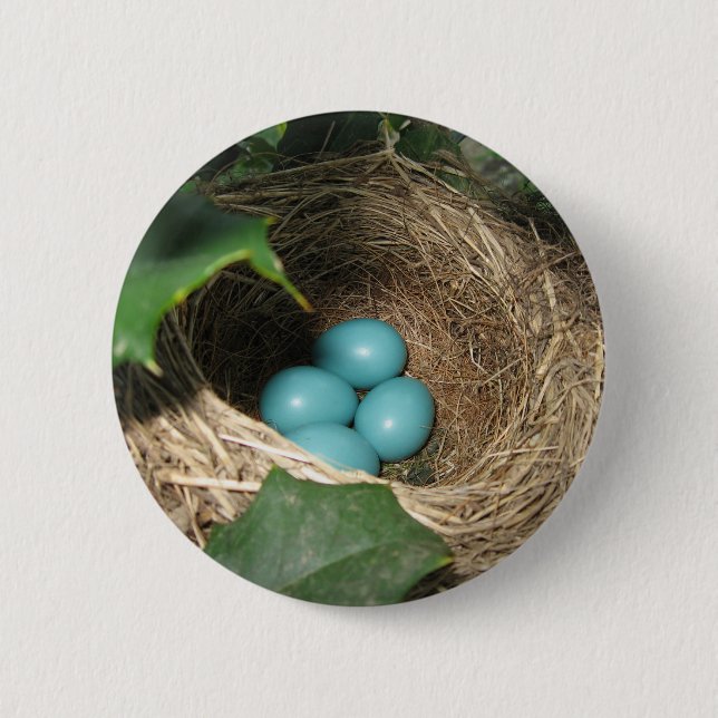 Chapa Redonda De 5 Cm Robin's Nest Button (Anverso)