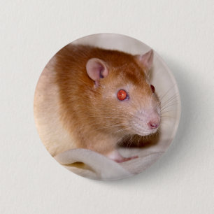 Chapa Redonda De 5 Cm Rolando Badge