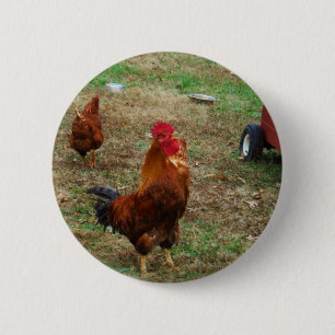 Chapa Redonda De 5 Cm Rooster Crowing
