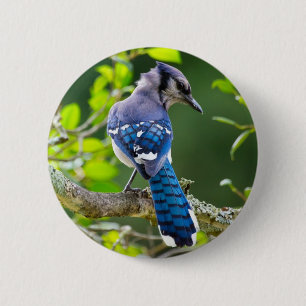 Chapa Redonda De 5 Cm Ropa y regalos de fotografía de la naturaleza del 