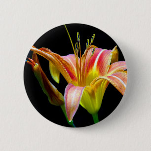 Chapa Redonda De 5 Cm Ropa y regalos Lovely Tawny Daylily II
