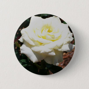 Chapa Redonda De 5 Cm Rosa amarillo pálido