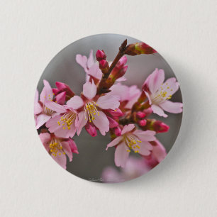 Chapa Redonda De 5 Cm Rosa Contra Un Cielo Gris Flor De Cerezo Japonesa
