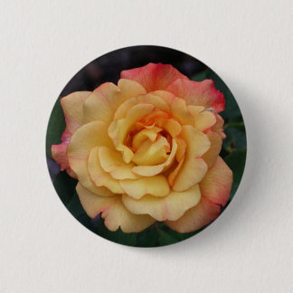 Chapa Redonda De 5 Cm Rosa de paz hermosa floral rosa y amarilla