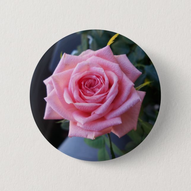 Chapa Redonda De 5 Cm Rosa rosa llena (Anverso)