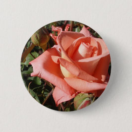 Chapa Redonda De 5 Cm Rosa Rosa Melocotón
