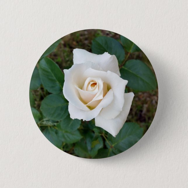 Chapa Redonda De 5 Cm rosebudo blanco (Anverso)