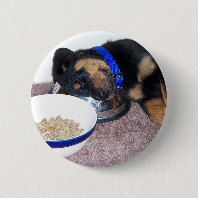 Chapa Redonda De 5 Cm rottweiler de cabeza dormilada. (Anverso)