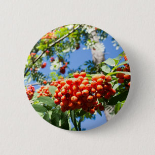Chapa Redonda De 5 Cm Rowan