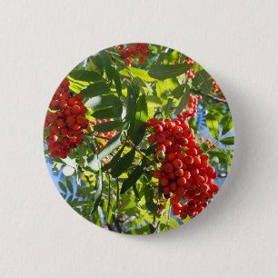 Chapa Redonda De 5 Cm Rowan