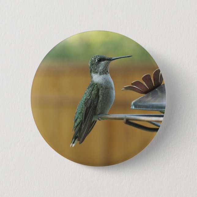 Chapa Redonda De 5 Cm Ruby Throated Hummingbird (Anverso)