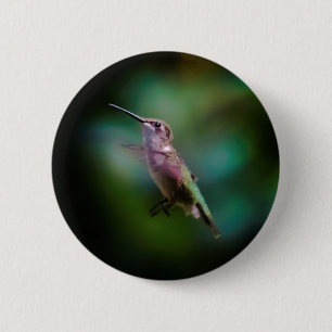 Chapa Redonda De 5 Cm Ruby-throated Hummingbird - Original Photograph