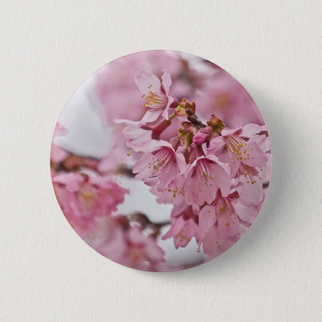 Chapa Redonda De 5 Cm Sakura cerezo florece rosa pálido (Anverso)
