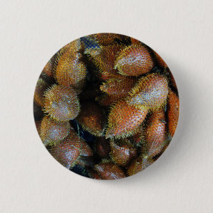 Chapa Redonda De 5 Cm Salak [Fruta de la serpiente]