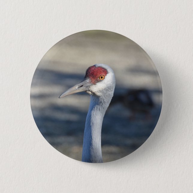 Chapa Redonda De 5 Cm Sandhill Crane (Anverso)