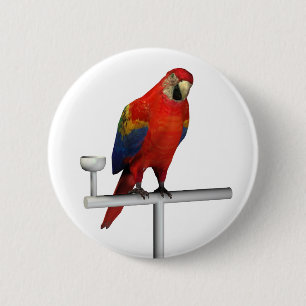 Chapa Redonda De 5 Cm Scarlet Macaw