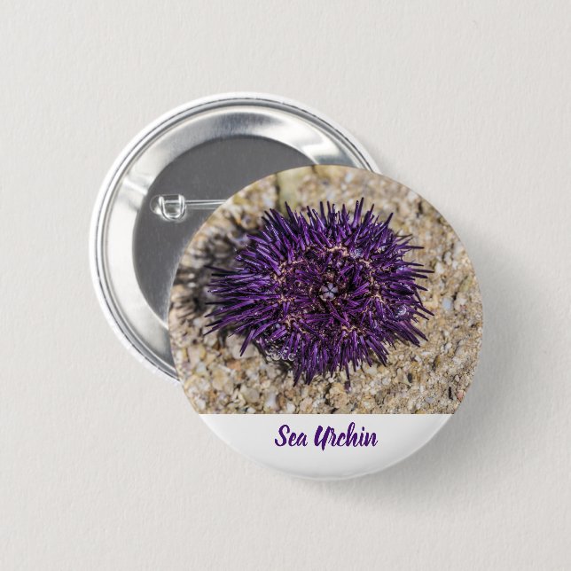 Chapa Redonda De 5 Cm Sea Urchin Ocean Beach Holiday Summer Souvenir (Anverso y reverso)