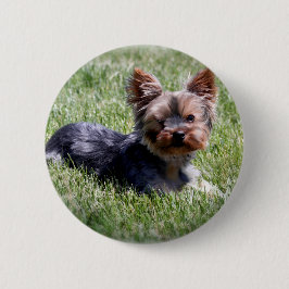 Chapa Redonda De 5 Cm Selección de varios productos de Yorkie Adorable