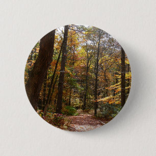 Chapa Redonda De 5 Cm Sendero de Otoño Iluminado por el Sol en Laurel Hi