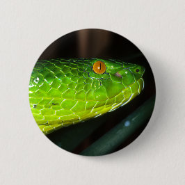 Chapa Redonda De 5 Cm Serpiente de la víbora del hoyo de Stejneger verde