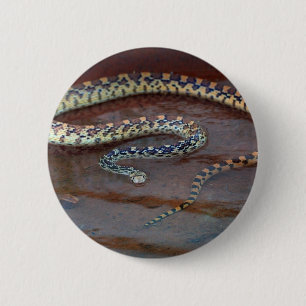 Chapa Redonda De 5 Cm Serpiente de toro