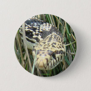 Chapa Redonda De 5 Cm Serpiente toro R4