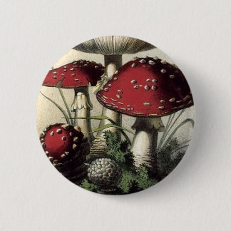 Chapa Redonda De 5 Cm Seta de Muscarius del Agaricus