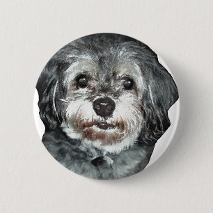 Chapa Redonda De 5 Cm Shih-Tzu