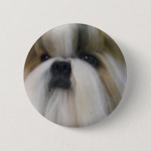 Chapa Redonda De 5 Cm Shih Tzu
