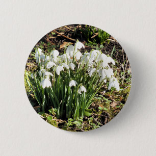 CHAPA REDONDA DE 5 CM SNOWDROPS