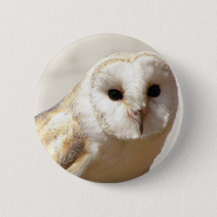 Chapa Redonda De 5 Cm Snowy Barn Owl Pin