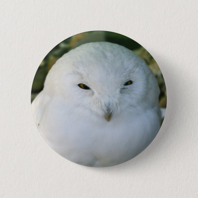 Chapa Redonda De 5 Cm Snowy Owl (Anverso)