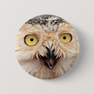 Chapa Redonda De 5 Cm Snowy Owl