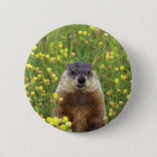 Chapa Redonda De 5 Cm Soy Groundhog