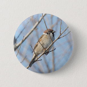 Chapa Redonda De 5 Cm Sparrow